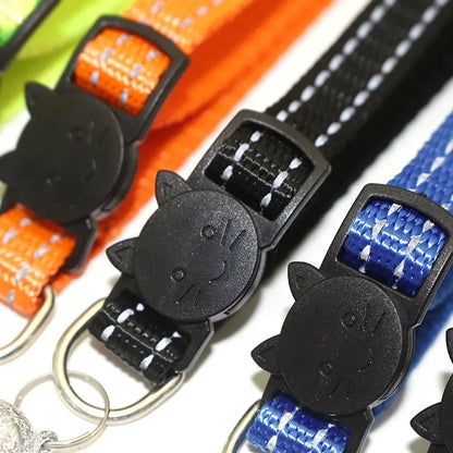 Collar Personalizado