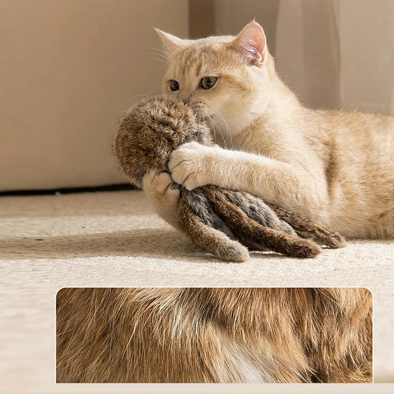 Pelota de pelo