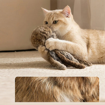 Pelota de pelo