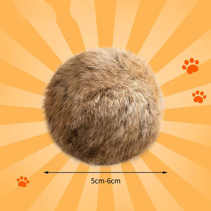 Pelota de pelo
