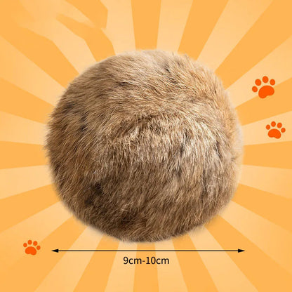 Pelota de pelo