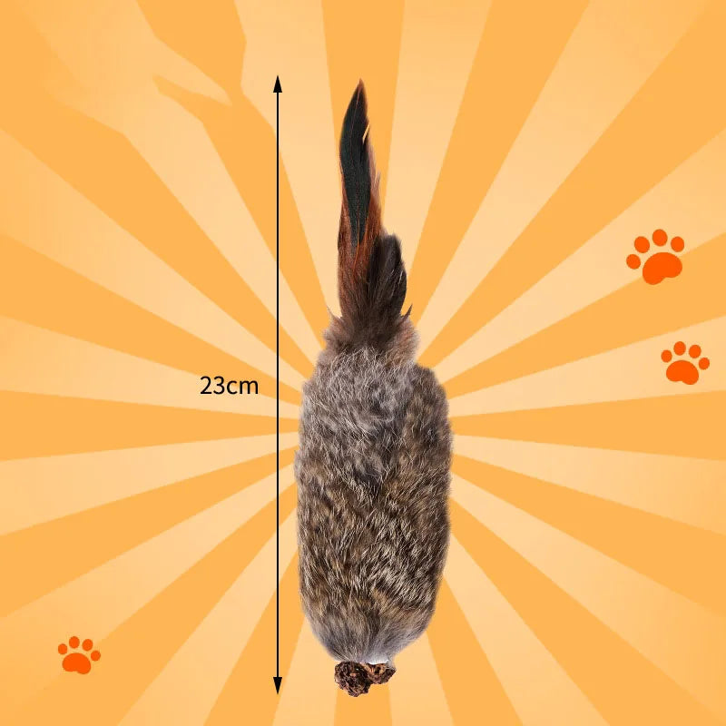Pelota de pelo