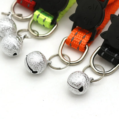 Collar Personalizado
